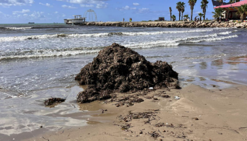 ndotet plazhi i durresit turistet ia mbathin te tmerruar 66f93e7b35b91