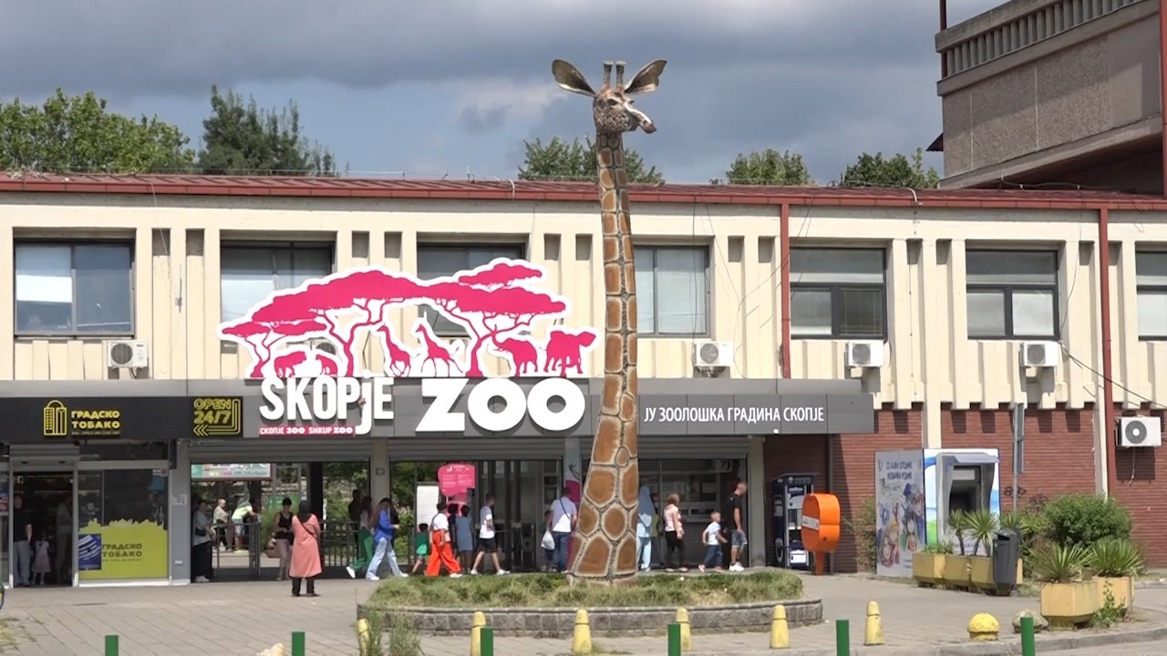 kater punonjes nga kopshti zoologjik jane nen mbikeqyrje mjekesore nje person do te testohet per gripin e shpendeve pasi ka shfaqur simptoma 6714fe30efe09