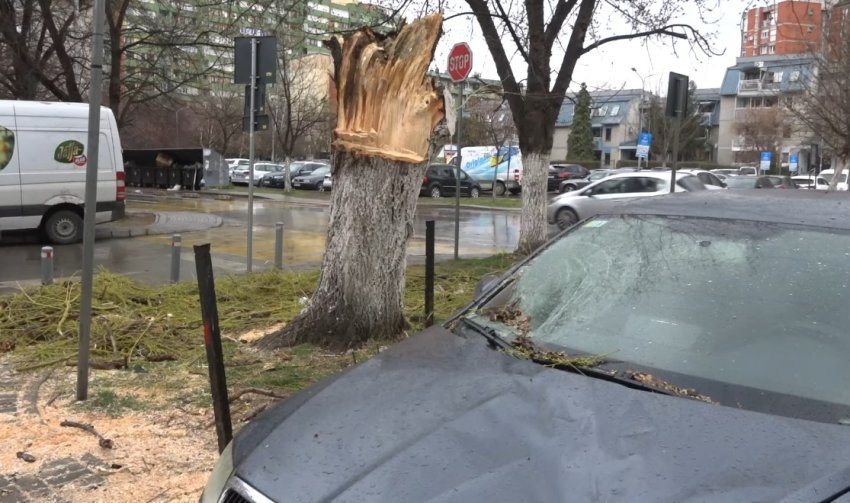 prishtine vetura te demtuara nga lisi qe rrezoi mbreme era punetoret e largojne nga rruga 67d2afdd98ed5
