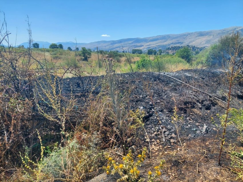 Zjarri rrezikoi shtëpitë në fshatin Arshi Lengo, policia shoqëron 1 person 2 zjarri rrezikoi shtepite ne fshatin arshi lengo policia shoqeron 1 person 686125a38947e