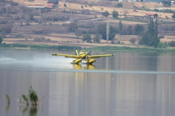 angellov zjarret ne krushje dhe llokvice do te jene me te veshtira per tu shuar 6873f3aa6edfc