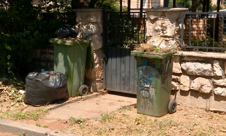 banoret e shtepive ankohen per eren e keqe nga koshat e stermbushur te mbeturinave qe nuk pastrohen rregullisht 6881148c33660