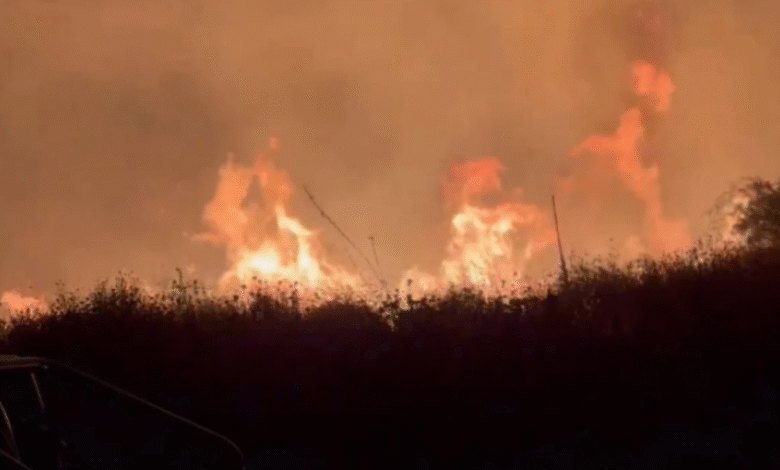 Çekia dhe Sllovenia dërgojnë helikopter dhe 50 zjarrëfikës për ballafaqim me zjarret 2 cekia dhe sllovenia dergojne helikopter dhe 50 zjarrefikes per ballafaqim me zjarret 6887df4a07e92