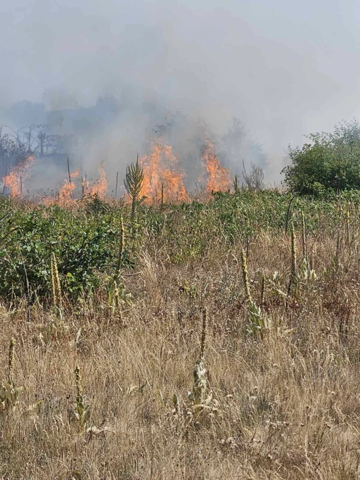 digjet mali goten ne trekendeshin e komunave berove vasileve dhe radovish 687f8abb2d96b