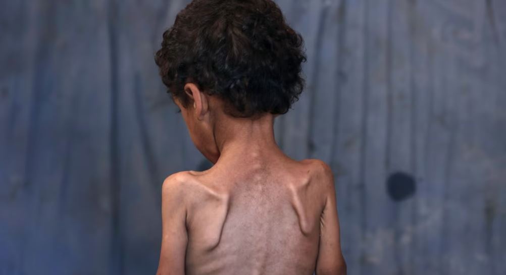 ekspertet e krizave ushqimore skenari me i keq i urise po ndodh ne gaza 6888d6327dd24