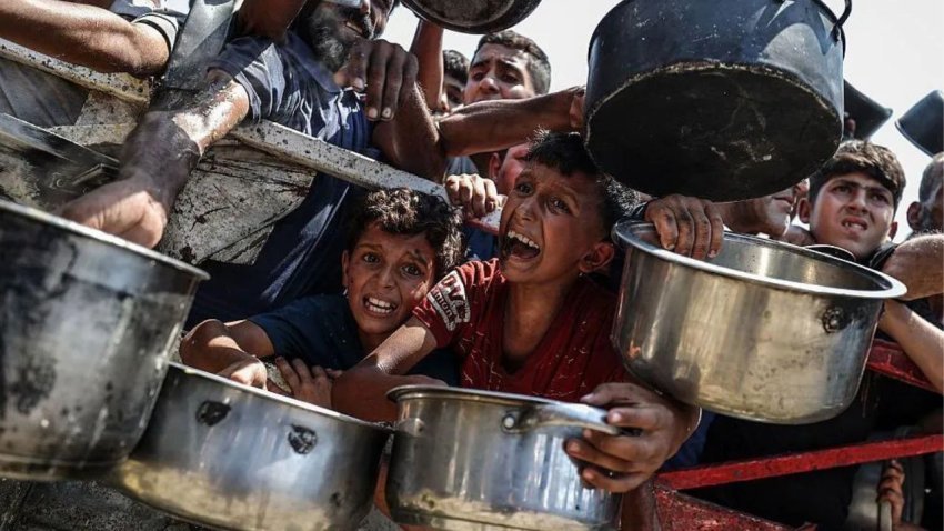 ekspertet e sigurise ushqimore eshte arritur pragu i urise ne gaza 6889085bea80d