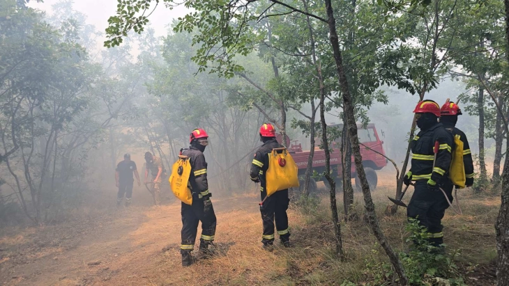ende ka zjarr ne dy lokacione ne rajonin e velesit dhe ne makedonski brod zjarri ne dojranit eshte vene nen kontroll 68774d59a6d27