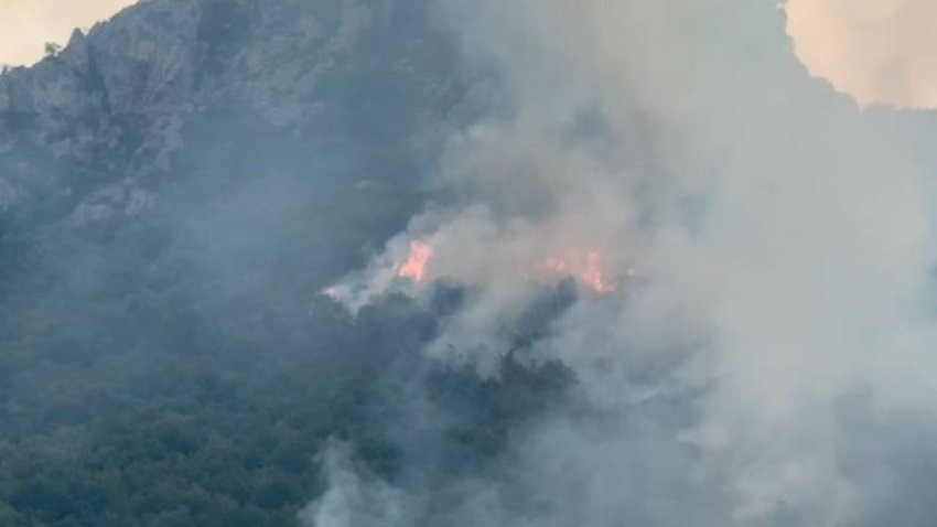Flakët në Pustec/ Kryetari i Bashkisë: Sipërfaqja e djegur është goxha e madhe, terreni është i thepisur 2 flaket ne pustec kryetari i bashkise siperfaqja e djegur eshte goxha e madhe terreni eshte i thepisur 68852ead53836