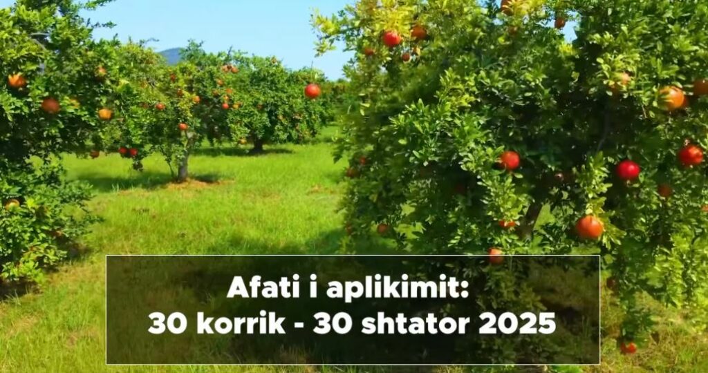 Hapen aplikimet për Skemën Kombëtare të Investimeve. Fermerët, 9 masat mbështetëse 2 hapen aplikimet per skemen kombetare te investimeve fermeret 9 masat mbeshtetese 688a0a599992c