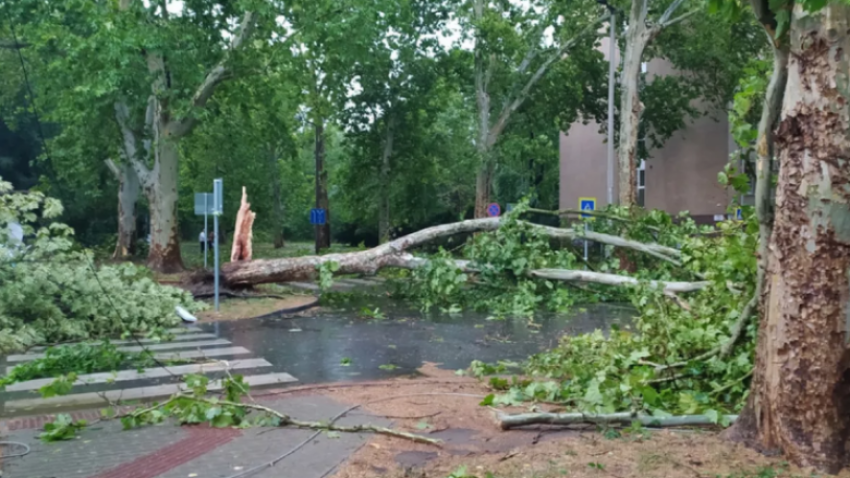 hungaria goditet nga stuhi te forta nderpritet trafiku ajror dhe hekurudhor 686c078aaecd6