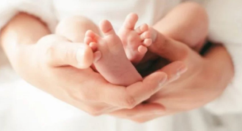 ja numri i lindjeve dhe vdekjeve ne kosove gjate muajit maj 68767e305eb6b