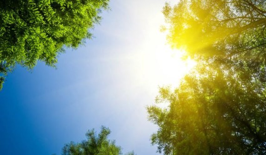 java nis e nxehte perfundon me ulje temperaturash parashikimi i motit per pese ditet e ardhshme 6873bf272d479