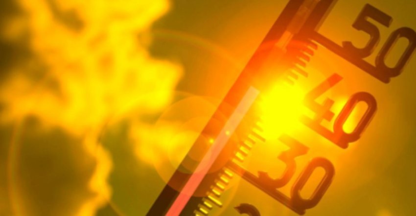 kosova kete jave do perfshihet nga nje vale e fuqishme e te nxehtit afrikan behet thirrje per kursim te ujit 687e2ecded98a