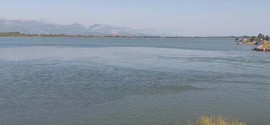 Kurbin/U fut për tu larë në Luginën e Patokut, gjendet trupi i pajetë i 15-vjeçarit 4 kurbin u fut per tu lare ne luginen e patokut gjendet trupi i pajete i 15 vjecarit 688275b8ca180