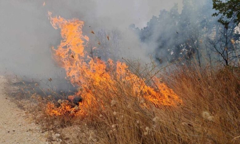 mickoski per zjarret mund te kete arrestime i merret telefoni funksionarit te bdi se 68728f1431123