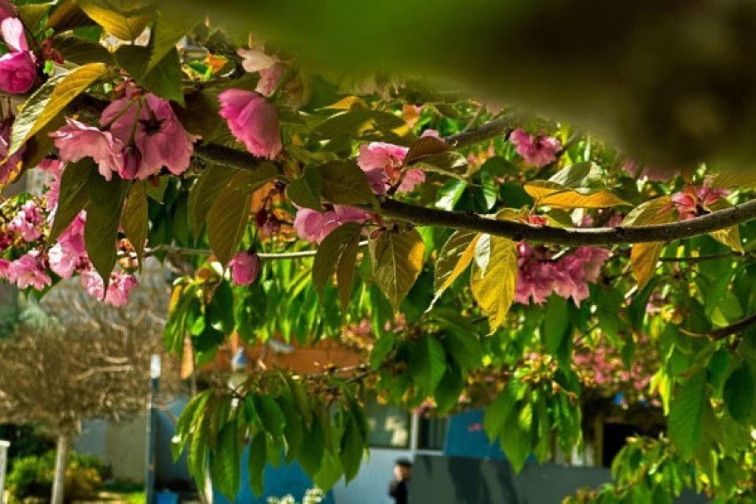 moti ne kosove temperaturat deri ne 31 grade do te kete shkarkime rrufesh 6886482956f01