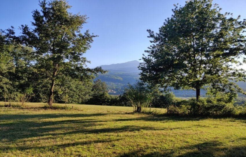 moti sot me diell dhe vranesira te shperndara 687f2c044095f