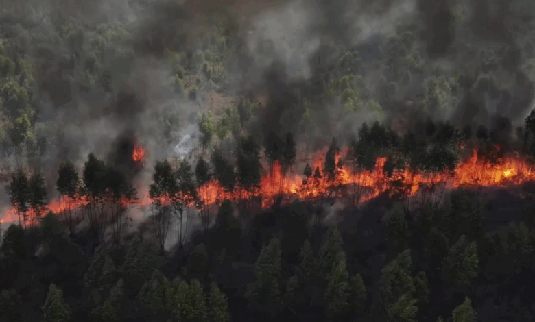 ne 24 oret e fundit jane regjistruar mbi 60 vatra zjarri jane lenduar 18 persona ndersa 6 jane hospitalizuar 687005f5c55e1