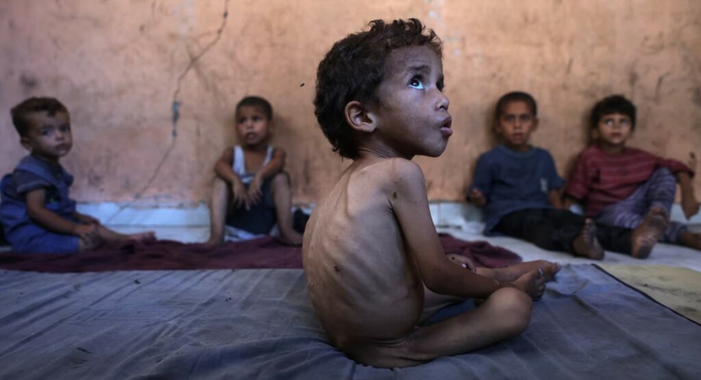 okb pothuajse nje e treta e banoreve te gazes nuk po hane per dite te tera 6884a94c92967