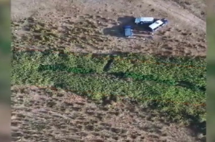 operacioni koordinata konfiskohen 190 bime narkotike ne fier 688388a0852f7