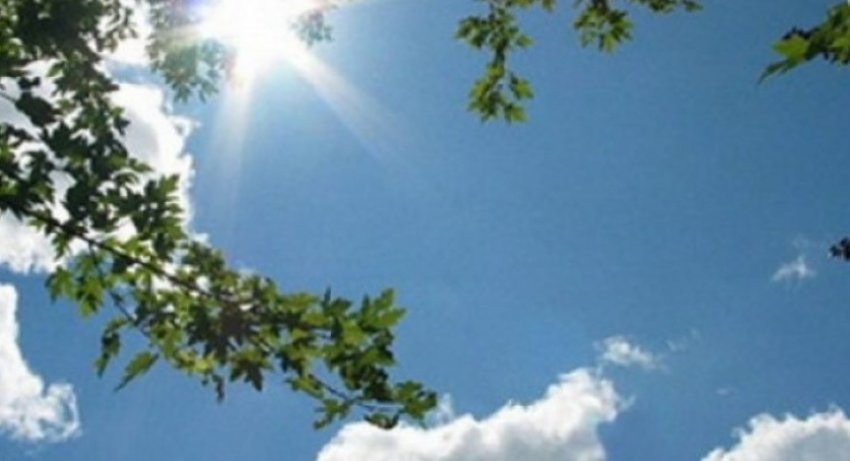 parashikimi i motit si do variojne temperaturat pergjate dites 687f2395a4464