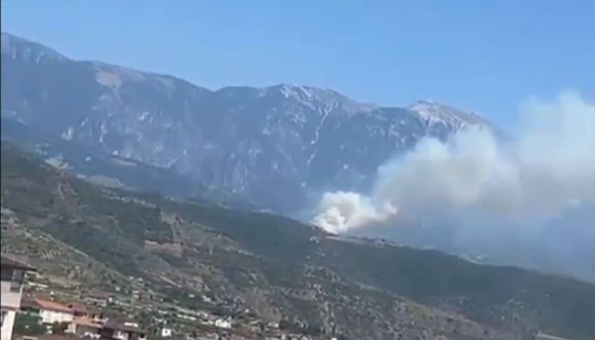 perfshihet nga zjarri pylli i lybeshes ne polican terreni veshtireson punen e zjarrfikesve 68825345bf584