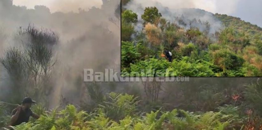 po shuanin flaket asfiksohen tre zjarrfikes ne dukat 687e5ed9aa09f