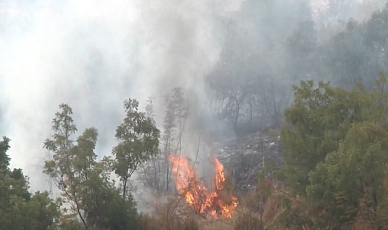 qmk tete zjarre jane aktive 12 te shuar nje nen kontroll 687418b11cab5