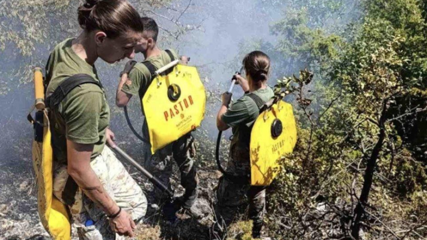 rreth 200 ushtare ndihmojne ne shuarjen e zjarreve ne gjashte komuna ne rmv 68882de83ec94