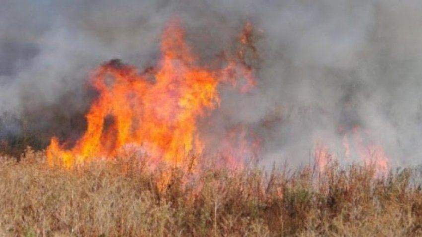 shperthen zjarri ne mes te fshatrave mirash dhe sazli te ferizajt 687ba80d621e3