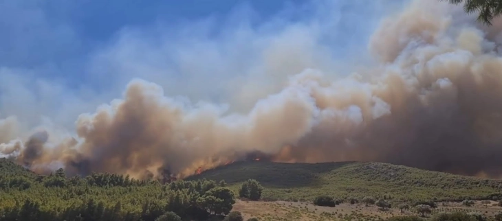 shtate zjarre aktive dy te lokalizuara qmk ja regjistroi gjithsej 31 zjarre ne ambient te hapur 686e20eabcabf