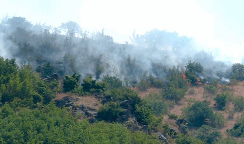 vendoset nen kontroll zjarri ne zheline 687bdfd61cdb5