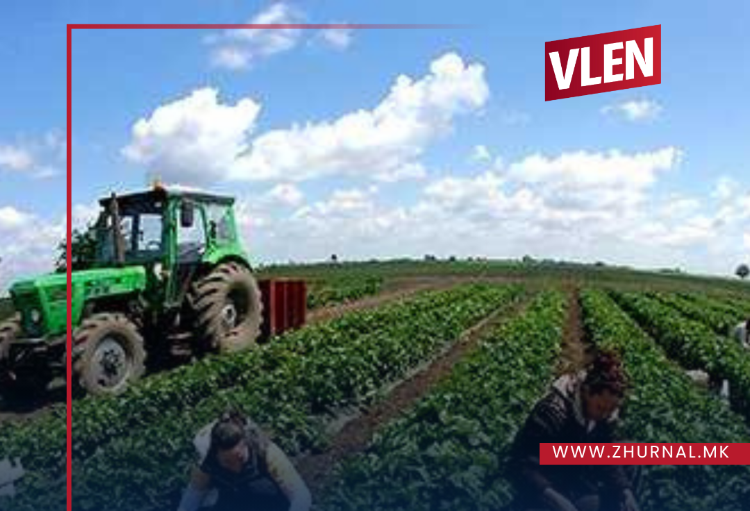 vlen transformim rural me vepra 99 7 milione denare per 1 865 fermere 68848a5cbb274