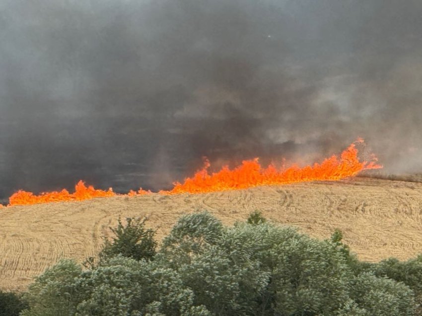 zjarr i fuqishem ne dumnice te eperme rrezikohen shtepite e banoreve 6884e28155eb8