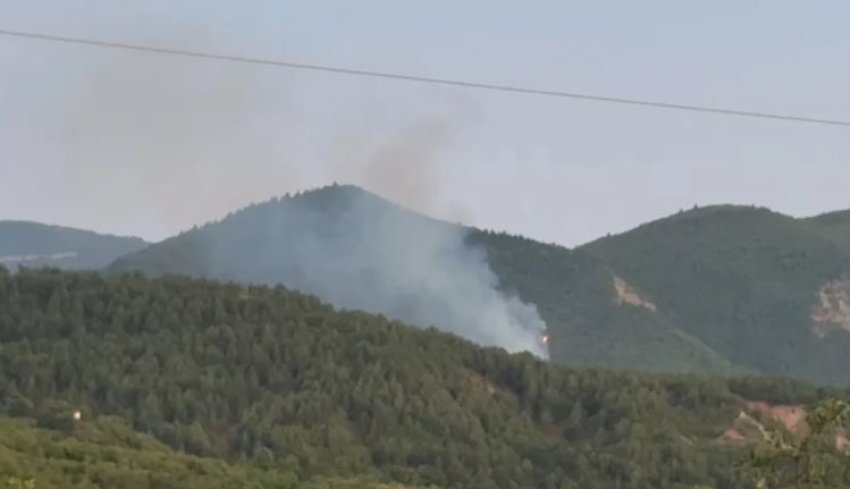 zjarr i qellimshem ne malin e mavroves flaket depertojne brenda pyllit 687d457d3aba3