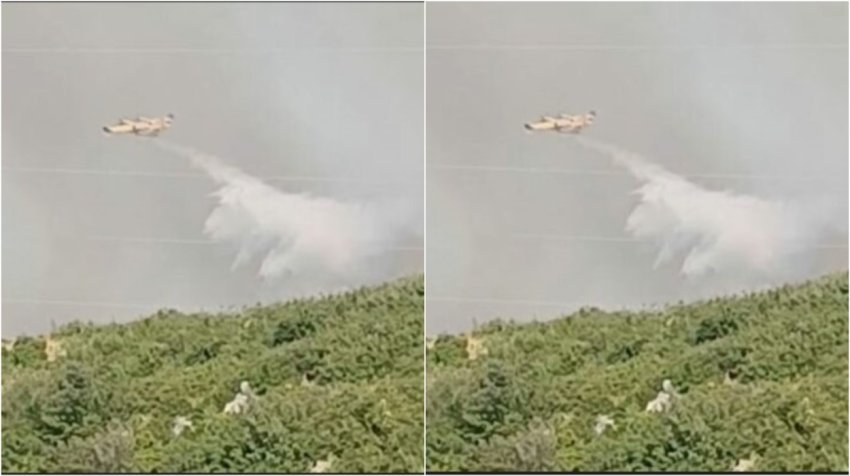 Zjarri masiv në jug të vendit, dy avionë “Canadair” nga Italia dhe Kroacia ndërhyjnë për shuarjen e flakëve në Shashicë 2 zjarri masiv ne jug te vendit dy avione canadair nga italia dhe kroacia nderhyjne per shuarjen e flakeve ne shashice 6884f66da0393