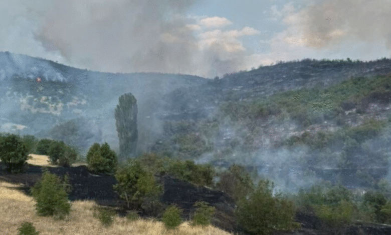 zjarri ne rajonin e bllaces ende aktiv 686cd8812cb8f