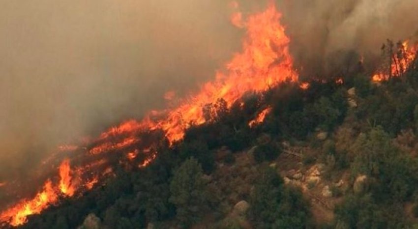 zjarrvenesit rrezikojne deri 20 vjet burg policia 6 ne pranga 6 ne hetim per zjarrvenie ne 72 ore 6886640a2a7e8