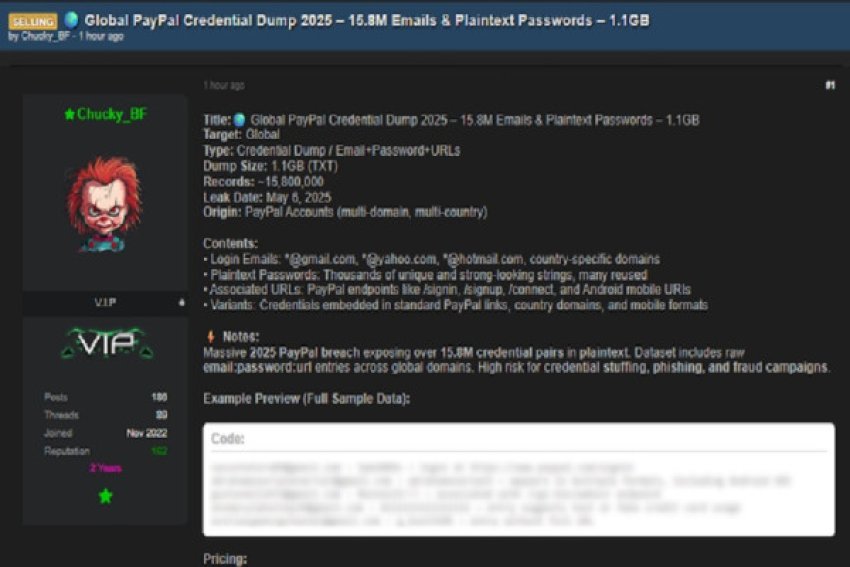 15 8 milione llogari paypal ne rrezik pasi fjalekalimet e vjedhura u vune ne shitje 68a625323a8c2