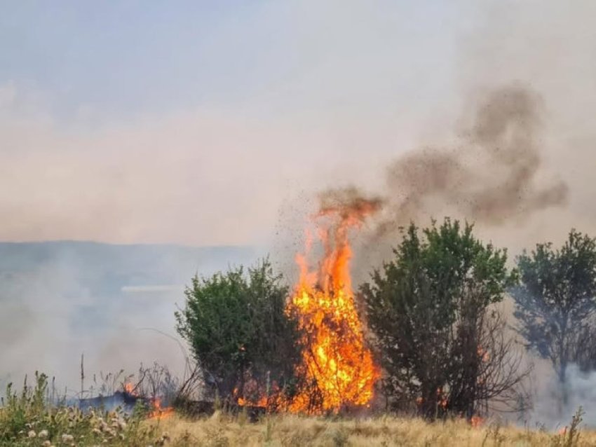 57 zjarre gjatë ditës, aktualisht janë vetëm dy aktive 2 57 zjarre gjate dites aktualisht jane vetem dy aktive 68b35b50ce3f4