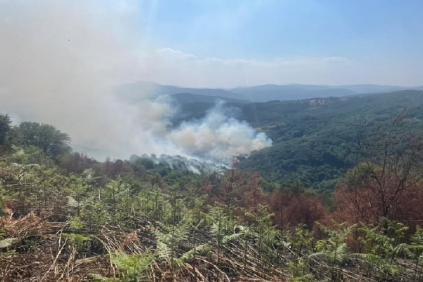 87 zjarre per 24 ore 8 mbeten aktive 68a237d9674f1