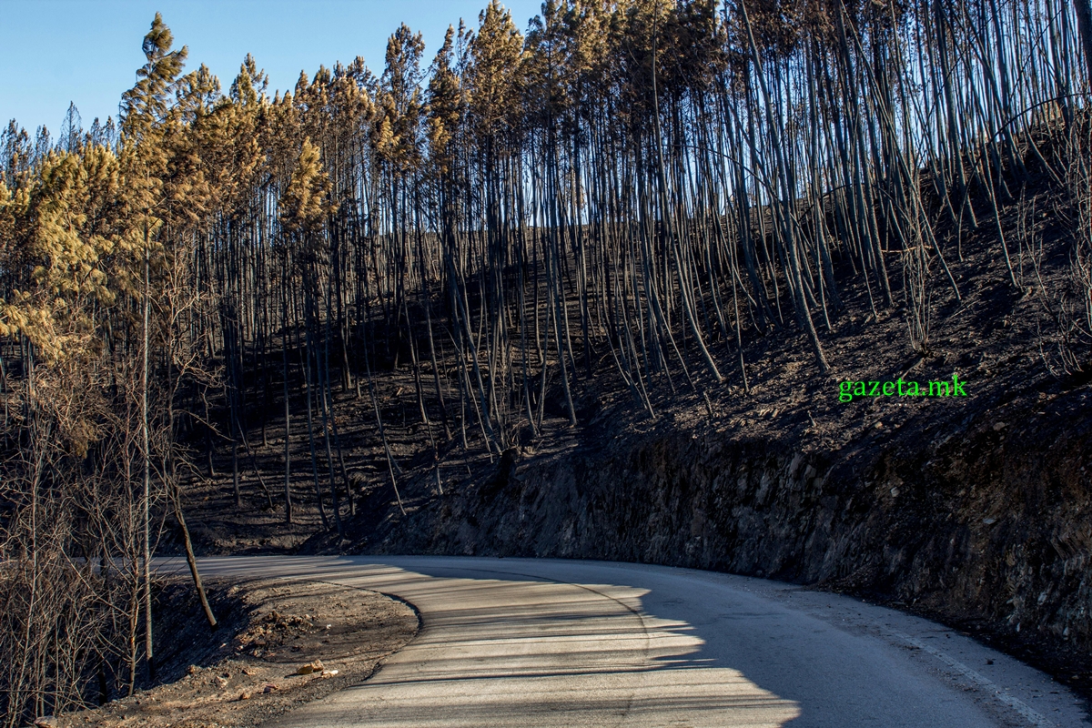 LAMM: Mbetet e bllokuar rruga rajonale Makedonski Brod – Shkup 1 ZJARRE 1