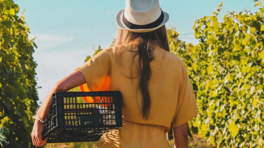 agroturizmi ne shqiperi qeveria fton turistet te perdorin aplikacionin agriturism al 68a24baa62ba4