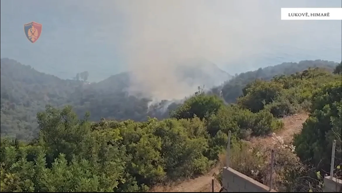 Akuzohen për zjarrvënie/Arrestohet një person, nis hetimi për dy të tjerë 1 akuzohen per zjarrvenie arrestohet nje person nis hetimi per dy te tjere 689a4cca0554c