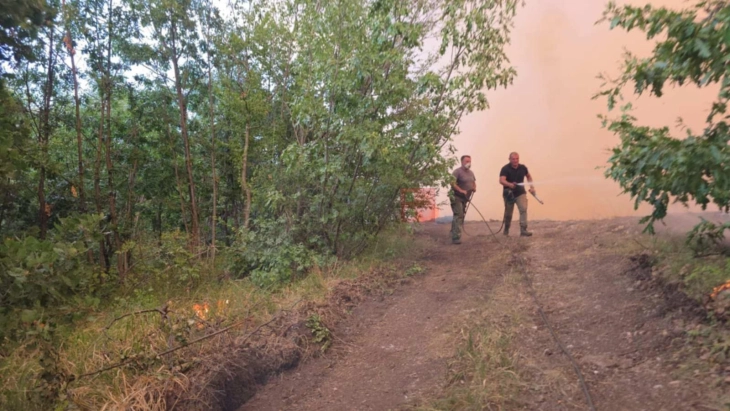 Angelov: Era e fortë e përkeqësoi situatën me zjarrin në “Jasen”, por ne nuk u tërhoqëm dhe i ndalëm flakët 3 angelov era e forte e perkeqesoi situaten me zjarrin ne jasen por ne nuk u terhoqem dhe i ndalem flaket 68a77a1e73df8