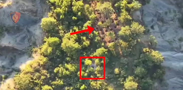 berat zbulohet parcela me bime narkotike arrestohen 2 kusherinjte 689decdf69702