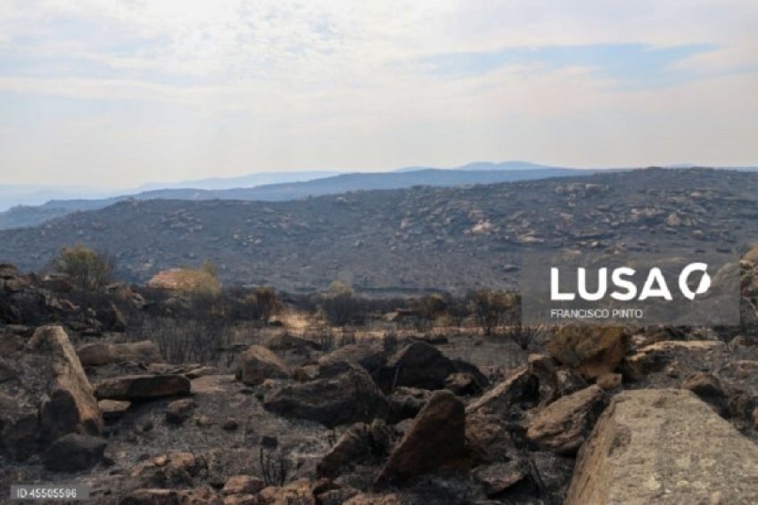 burri shtypet nga ekskavatori ndersa luftonte zjarrin ne portugali 68a5ed3fc534d