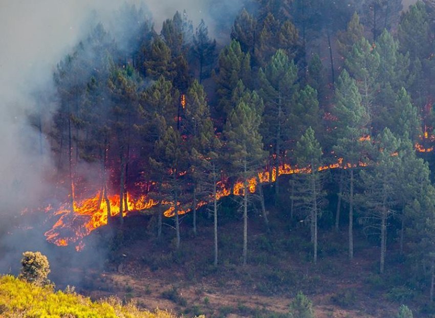 digjet europa zjarre ne itali spanje e kroaci flake ne pyje e fshatra 6899f398bf08a