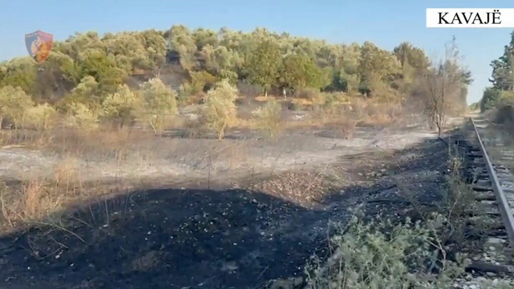 Dogji një sipërfaqe të madhe toke me pemë frutore, arrestohet autori në Kavajë 3 dogji nje siperfaqe te madhe toke me peme frutore arrestohet autori ne kavaje 6895af8bc92ba