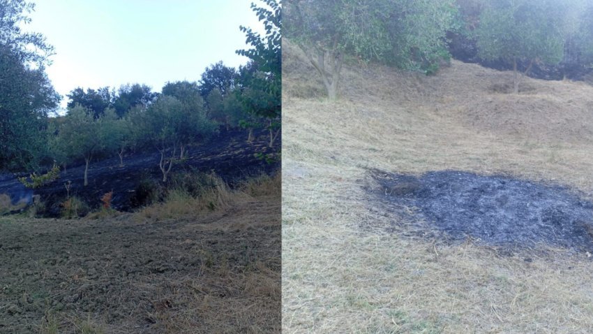 Dogji një sipërfaqe toke dhe disa pemë ulliri, identifikohet autori dhe procedohet penalisht 2 dogji nje siperfaqe toke dhe disa peme ulliri identifikohet autori dhe procedohet penalisht 68909b7aaaf1b